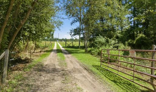 Photo #5 of 6400 Black Creek Rd., Nichols, SC 93.5 acres