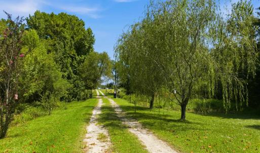 Photo #4 of 6400 Black Creek Rd., Nichols, SC 93.5 acres
