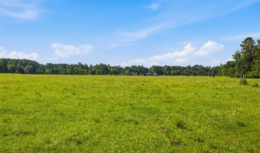 Photo #37 of 6400 Black Creek Rd., Nichols, SC 93.5 acres