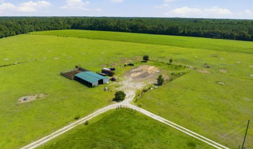 Photo #7 of 6400 Black Creek Rd., Nichols, SC 93.5 acres