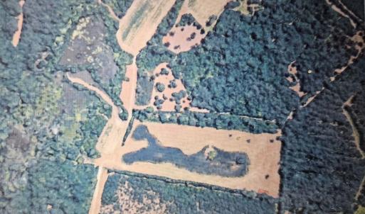 Photo #1 of TBD Bratcher Rd., Conway, SC 46.0 acres