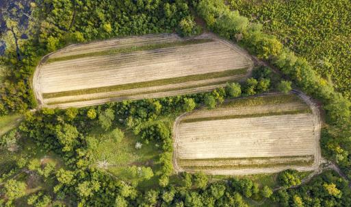 Photo #11 of TBD Bratcher Rd., Conway, SC 46.0 acres
