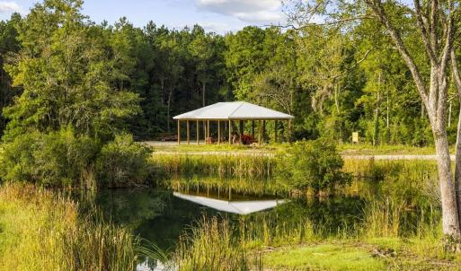 Photo #8 of TBD Bratcher Rd., Conway, SC 46.0 acres