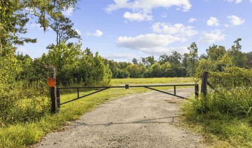 Photo #4 of TBD Bratcher Rd., Conway, SC 46.0 acres