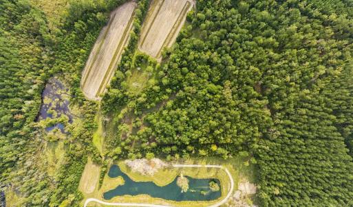 Photo #1 of TBD Bratcher Rd., Conway, SC 46.0 acres