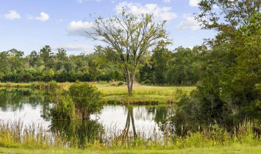 Photo #6 of TBD Bratcher Rd., Conway, SC 46.0 acres