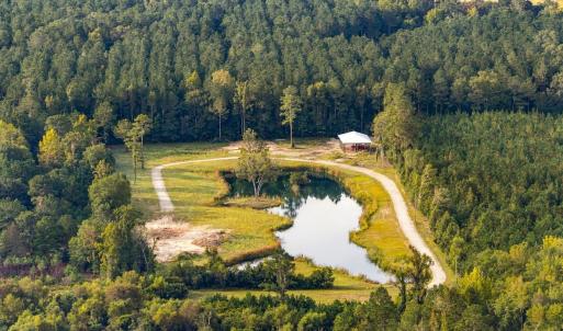 Photo #2 of TBD Bratcher Rd., Conway, SC 46.0 acres