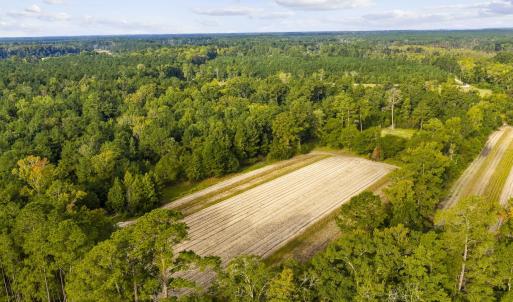 Photo #13 of TBD Bratcher Rd., Conway, SC 46.0 acres