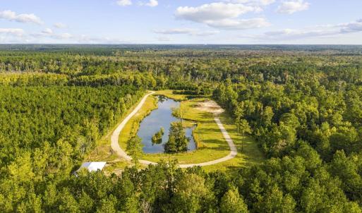 Photo #7 of TBD Bratcher Rd., Conway, SC 46.0 acres