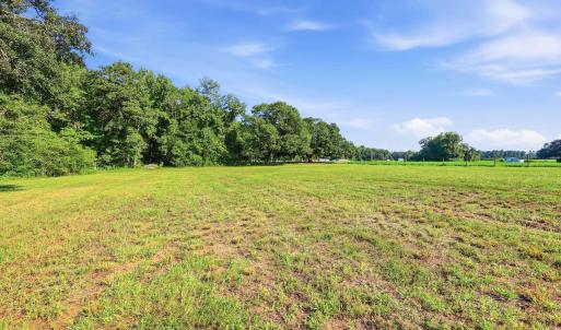 Photo #7 of 2545 Wigley Rd., Loris, SC 12.4 acres