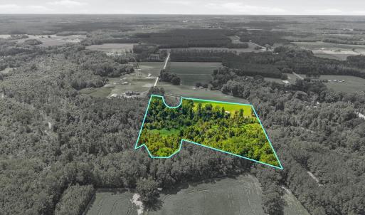 Photo #11 of 2545 Wigley Rd., Loris, SC 12.4 acres