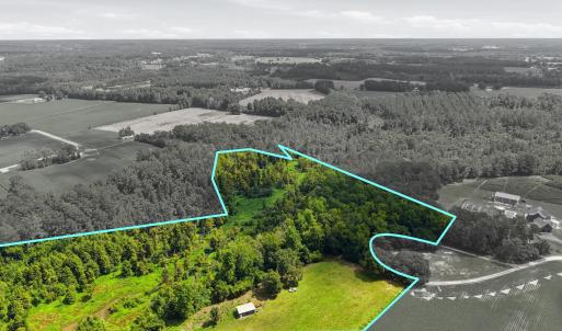 Photo #16 of 2545 Wigley Rd., Loris, SC 12.4 acres