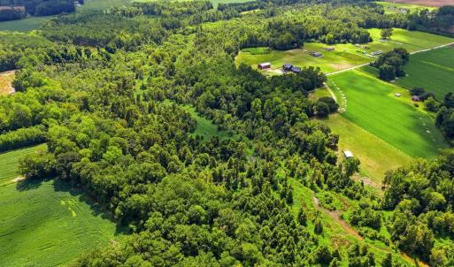 Photo #12 of 2545 Wigley Rd., Loris, SC 12.4 acres