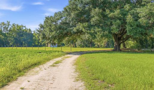 Photo #25 of 2545 Wigley Rd., Loris, SC 12.4 acres