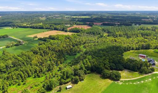 Photo #17 of 2545 Wigley Rd., Loris, SC 12.4 acres