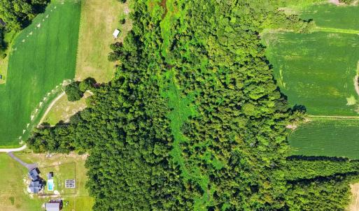 Photo #19 of 2545 Wigley Rd., Loris, SC 12.4 acres