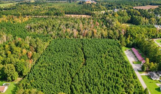 Photo #6 of tbd Graham St., Loris, SC 69.6 acres