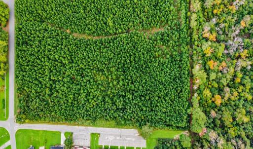Photo #10 of tbd Graham St., Loris, SC 69.6 acres