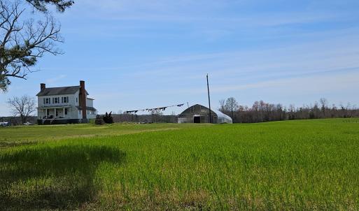 Photo #17 of 175 Raines Tavern, Farmville, VA 97.7 acres