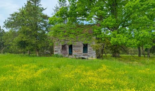 Photo #14 of 3623 Cottage Road, Blackstone, VA 15.0 acres