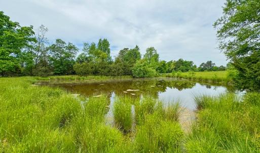 Photo #4 of 3623 Cottage Road, Blackstone, VA 15.0 acres