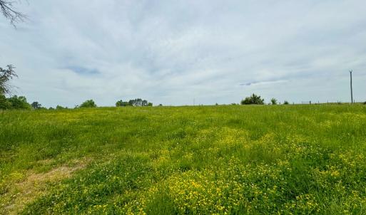 Photo #50 of 3623 Cottage Road, Blackstone, VA 15.0 acres