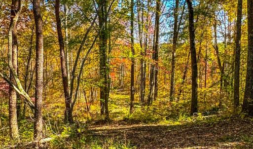 Photo #57 of 2052 Twenty-Two Road, Pamplin, VA 486.0 acres