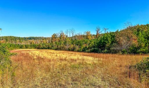 Photo #58 of 2052 Twenty-Two Road, Pamplin, VA 486.0 acres