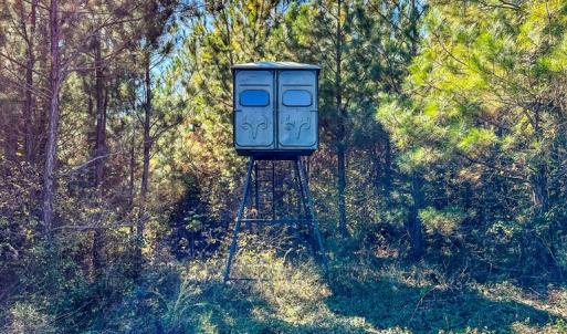 Photo #61 of 2052 Twenty-Two Road, Pamplin, VA 486.0 acres