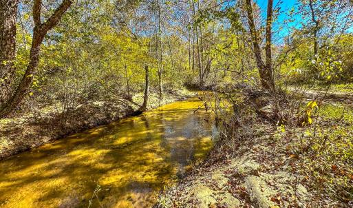 Photo #62 of 2052 Twenty-Two Road, Pamplin, VA 486.0 acres