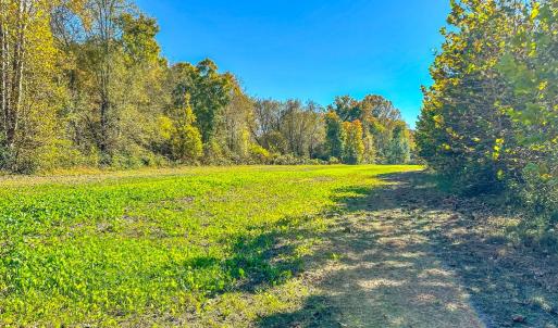 Photo #65 of 2052 Twenty-Two Road, Pamplin, VA 486.0 acres
