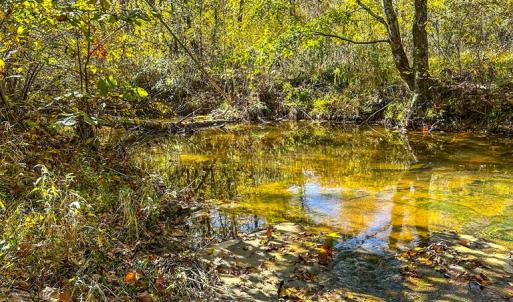 Photo #66 of 2052 Twenty-Two Road, Pamplin, VA 486.0 acres