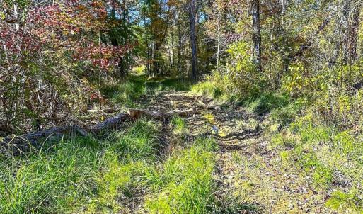 Photo #68 of 2052 Twenty-Two Road, Pamplin, VA 486.0 acres