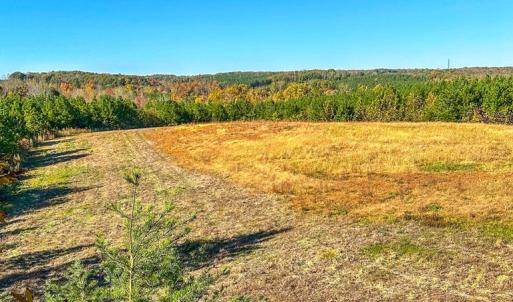 Photo #69 of 2052 Twenty-Two Road, Pamplin, VA 486.0 acres