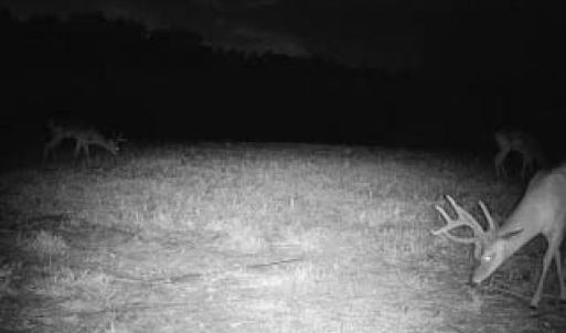Photo #70 of 2052 Twenty-Two Road, Pamplin, VA 486.0 acres