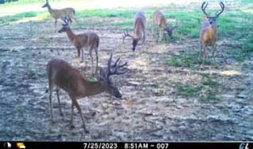 Photo #74 of 2052 Twenty-Two Road, Pamplin, VA 486.0 acres