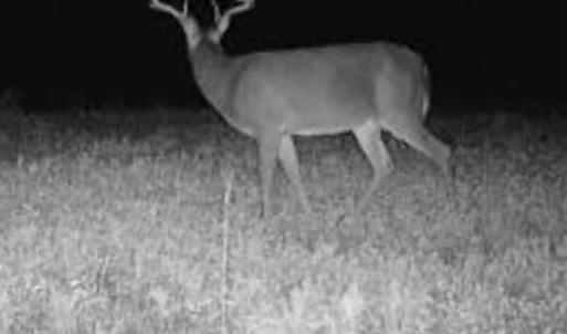 Photo #78 of 2052 Twenty-Two Road, Pamplin, VA 486.0 acres