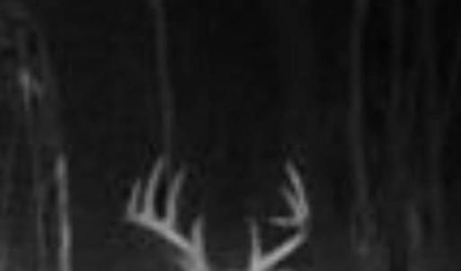 Photo #81 of 2052 Twenty-Two Road, Pamplin, VA 486.0 acres