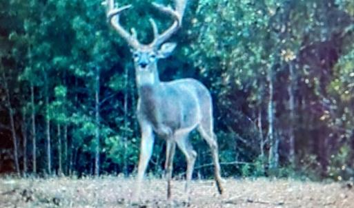 Photo #83 of 2052 Twenty-Two Road, Pamplin, VA 486.0 acres