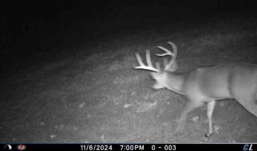 Photo #85 of 2052 Twenty-Two Road, Pamplin, VA 486.0 acres