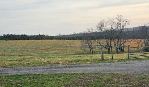 Very Good Pastures!