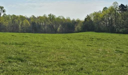 The Green, Green Grass of Home!