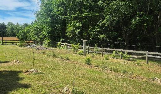 Photo #39 of 566 Holman Mill Rd., Farmville, VA 14.9 acres