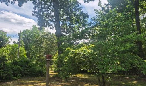 Photo #41 of 566 Holman Mill Rd., Farmville, VA 14.9 acres