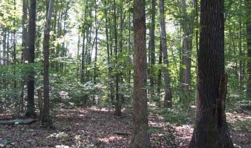 Photo #20 of 3859 Saxkey Road, Saxe, VA 21.8 acres