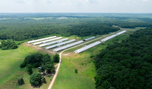 Photo #11 of 2020 W Patrick Henry Highway, Crewe, VA 125.9 acres