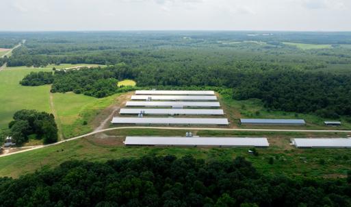 Photo #12 of 2020 W Patrick Henry Highway, Crewe, VA 125.9 acres