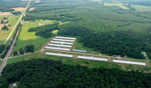 Photo #13 of 2020 W Patrick Henry Highway, Crewe, VA 125.9 acres