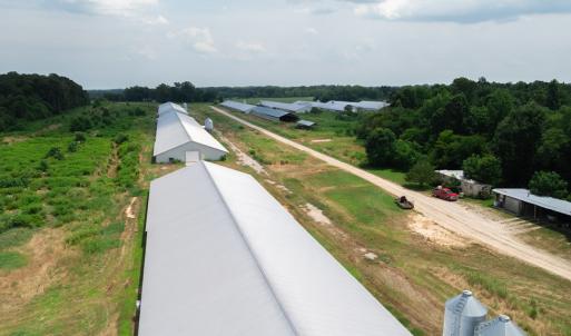 Photo #15 of 2020 W Patrick Henry Highway, Crewe, VA 125.9 acres