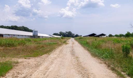 Photo #21 of 2020 W Patrick Henry Highway, Crewe, VA 125.9 acres
